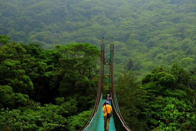 Puentes colgantes suspendidos en el exuberante y místico Bosque Nuboso de Monteverde, Costa Rica.
