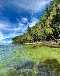 Playa tropical en la Costa Caribeña Sur de Costa Rica, Puerto Viejo, con palmeras y arena dorada.