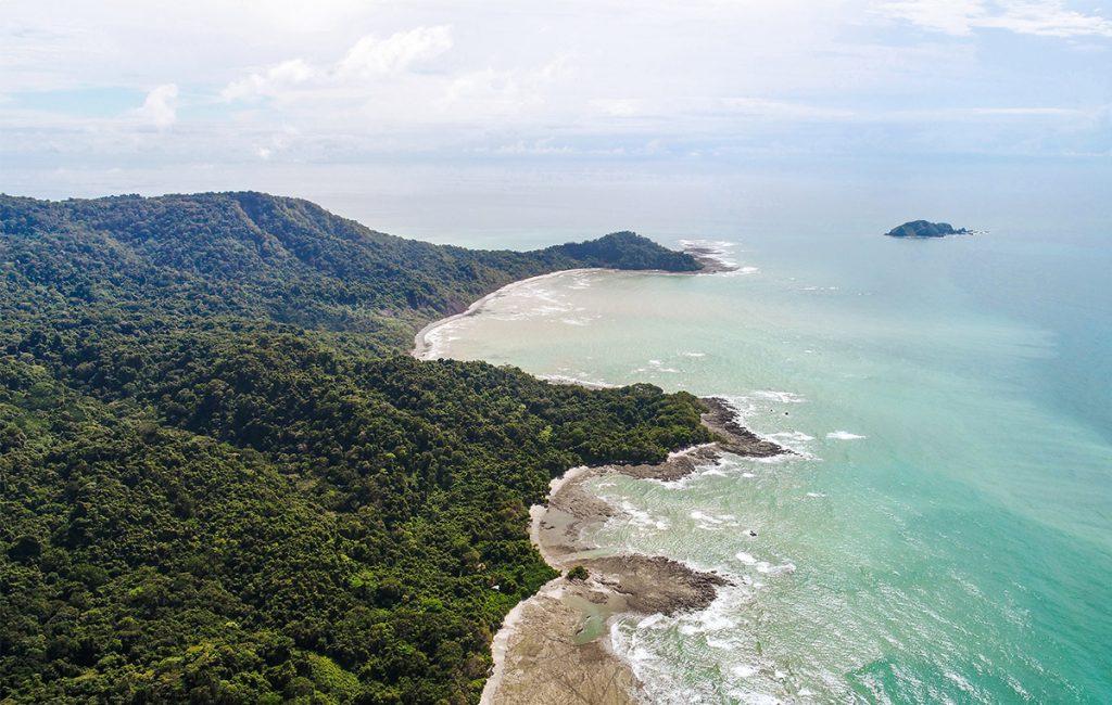 Sendero de acceso a Playa Suecos rodeado de vegetación tropical