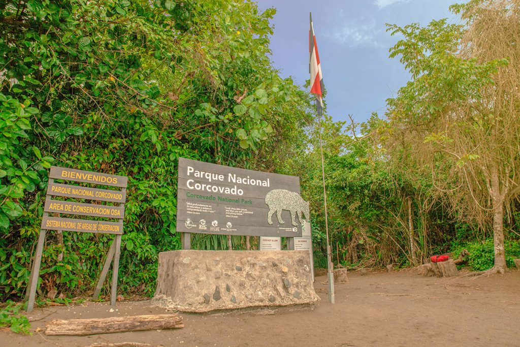 Guía Completa para Visitar el Parque Nacional Corcovado en Costa Rica | Paseos Costa Rica