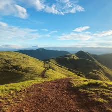 Bosque nuboso en Cerro Dantas, Heredia