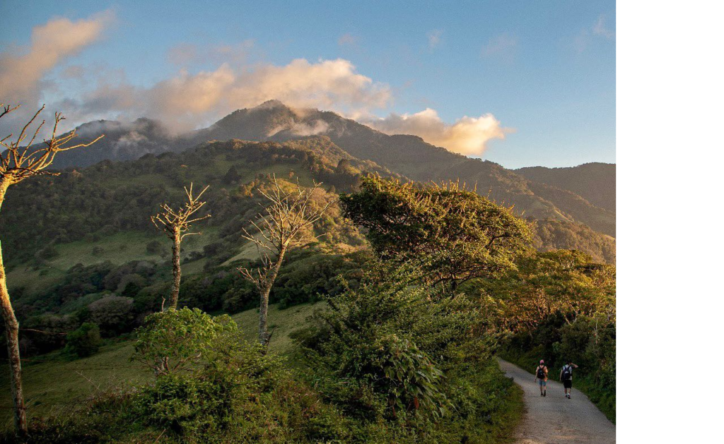 4 Sitios Pet Friendly en Costa Rica para Viajar con Mascotas | Paseos Costa Rica