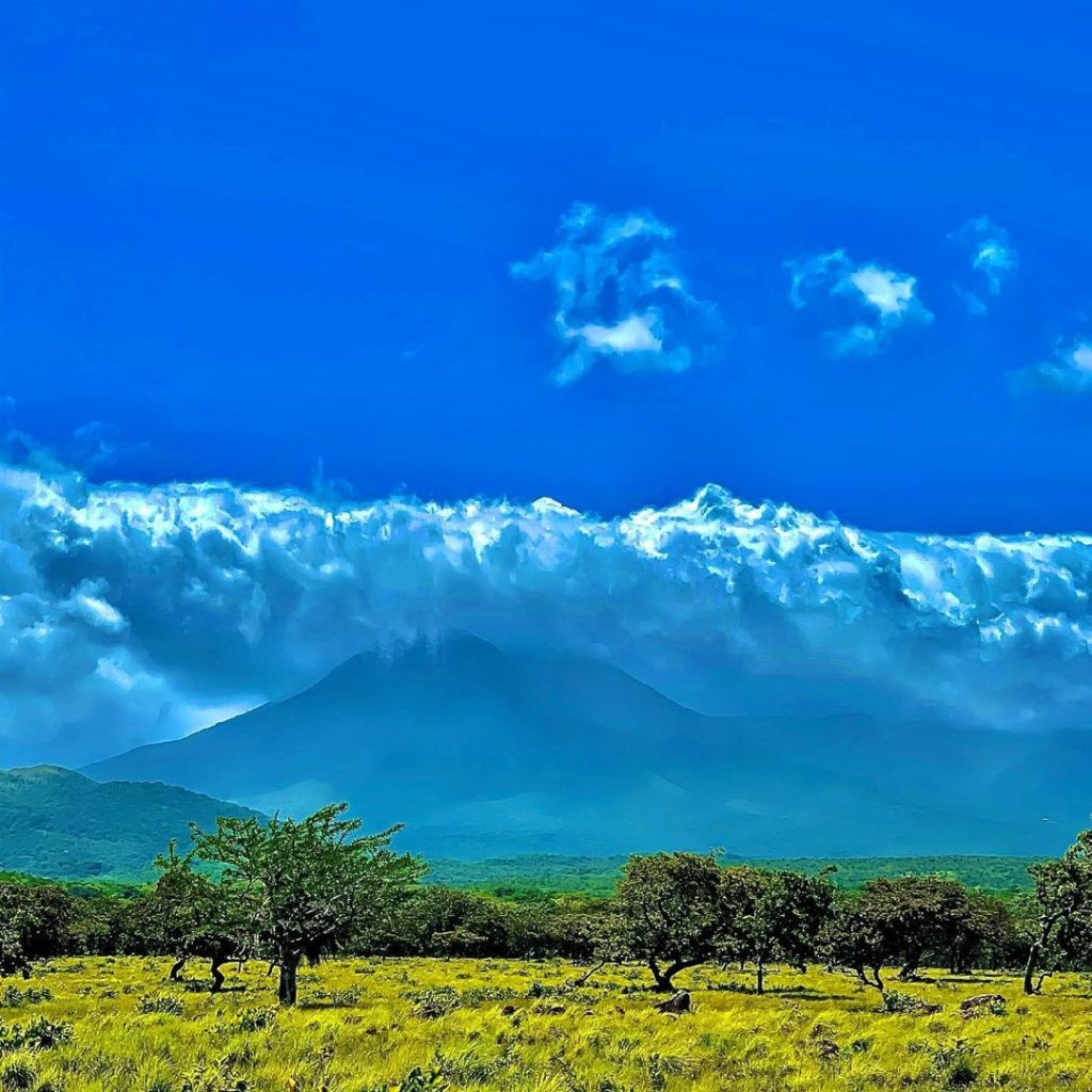 Parque Nacional Guanacaste: Ecoturismo y Patrimonio UNESCO | Paseos Costa Rica