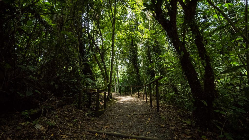Mapa y señalización del Monumento Nacional Guayabo