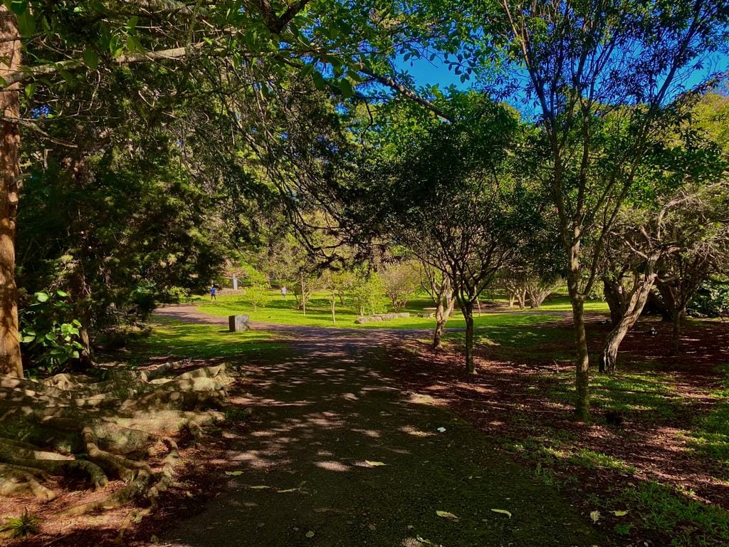 Senderos naturales y áreas recreativas del parque Doña Anacleto