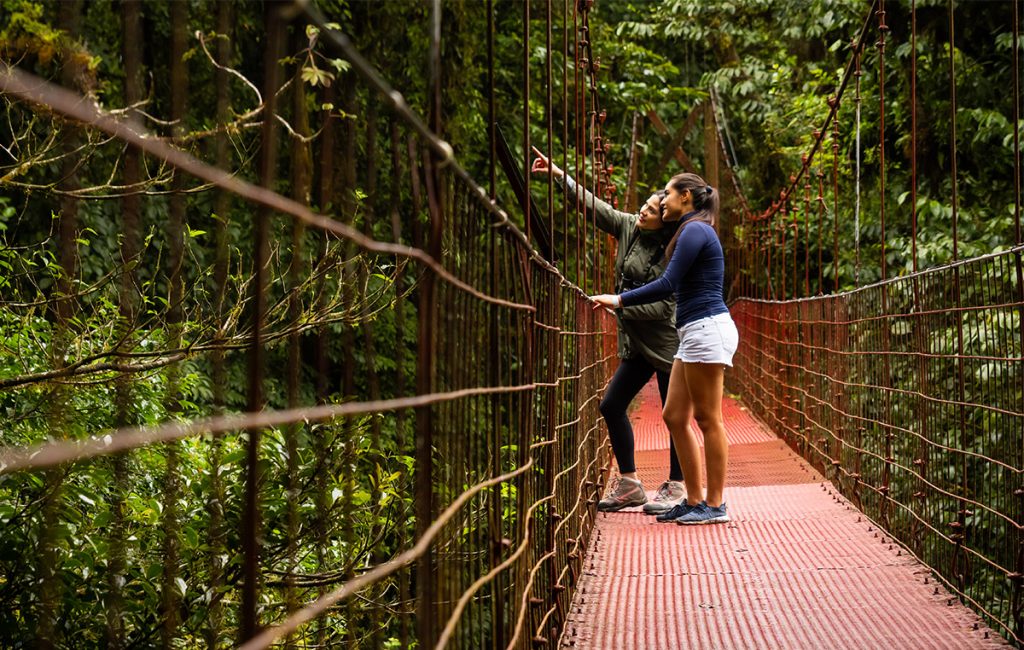 Canopy en el bosque nuboso de Monteverde, Costa Rica