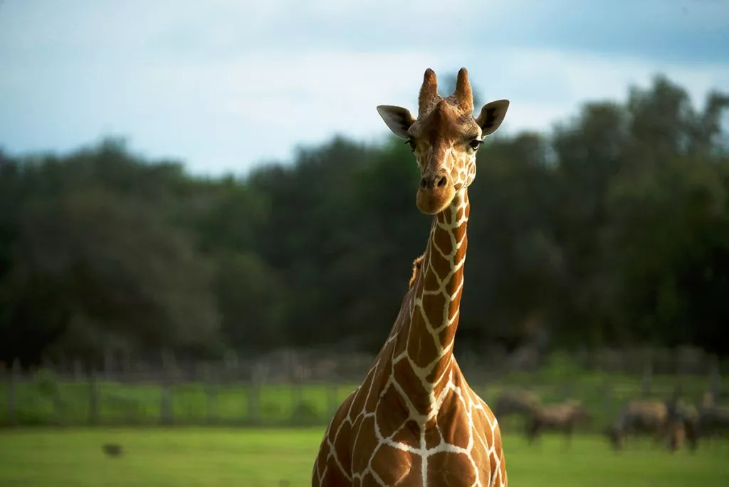 3-2-1024x684.jpg.webp