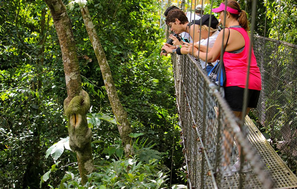 Tours de Puentes Colgantes en Costa Rica | Mejores Lugares para Aventura