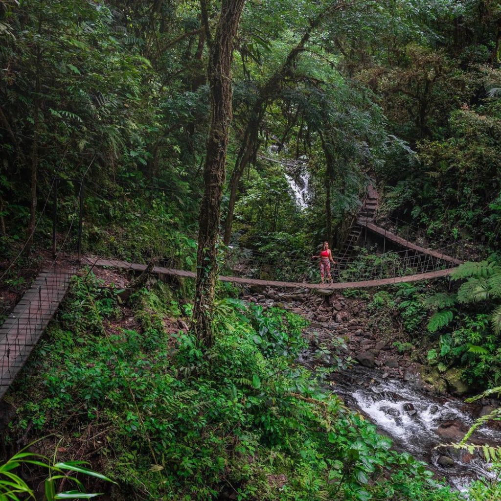Catarata El Tigre en Monteverde: Guía Completa para tu Aventura | Paseos Costa Rica