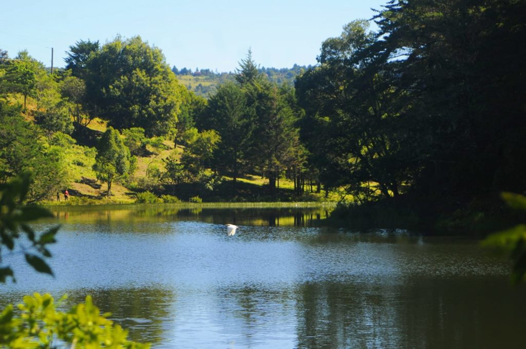 Camping familiar junto a la Laguna Don Manuel con vista al bosque nuboso