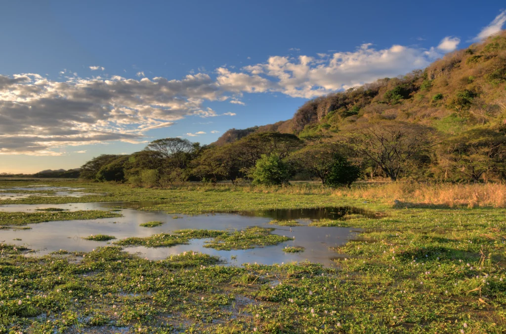 Captura-de-pantalla-2023-09-07-a-las-09.40.20-1024x677.png.webp