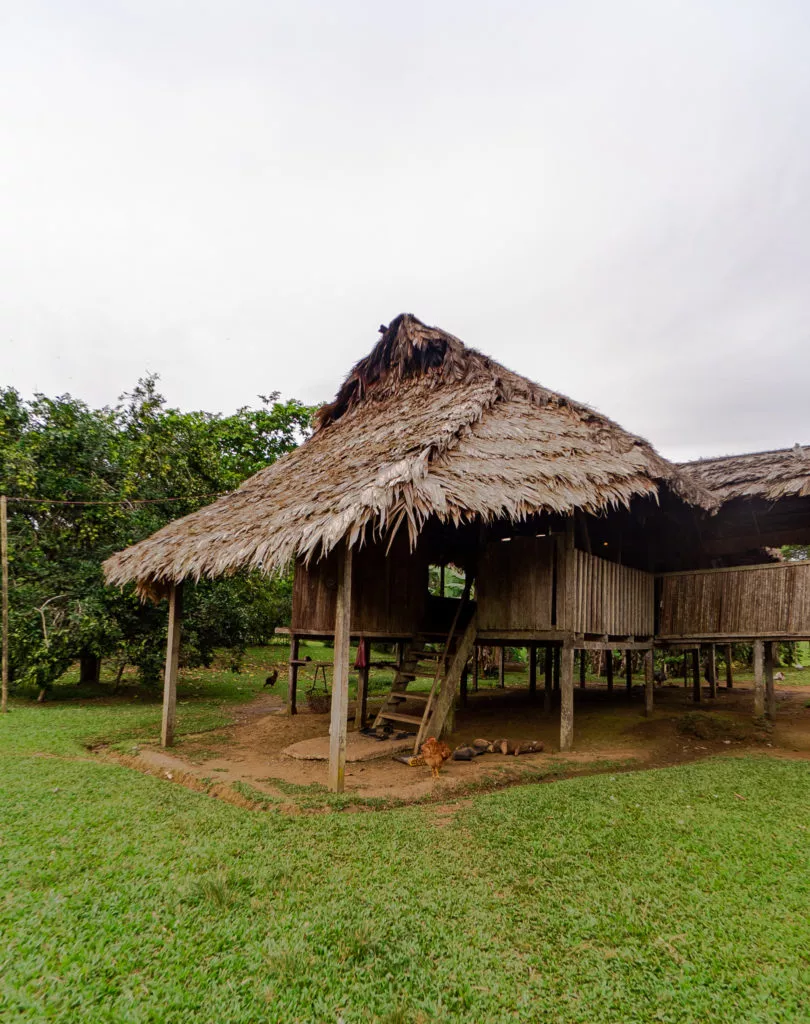 Cocina-Bribri-Limón-casas-2-810x1024.jpg.webp
