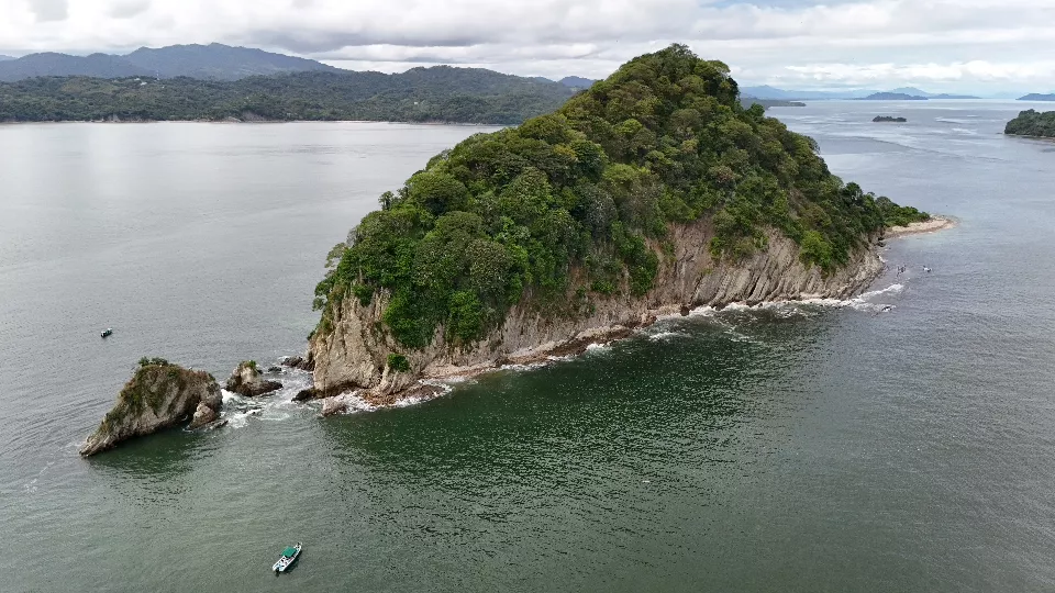 DJI_20241127104857_0162_D.jpg.webp