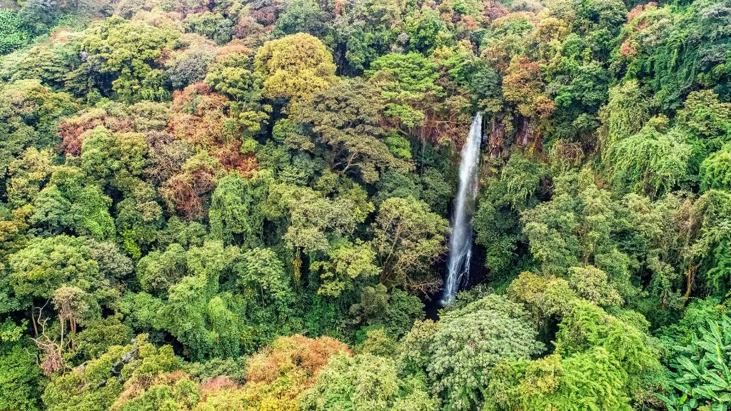 El-Paraiso-1024x576.jpg.webp