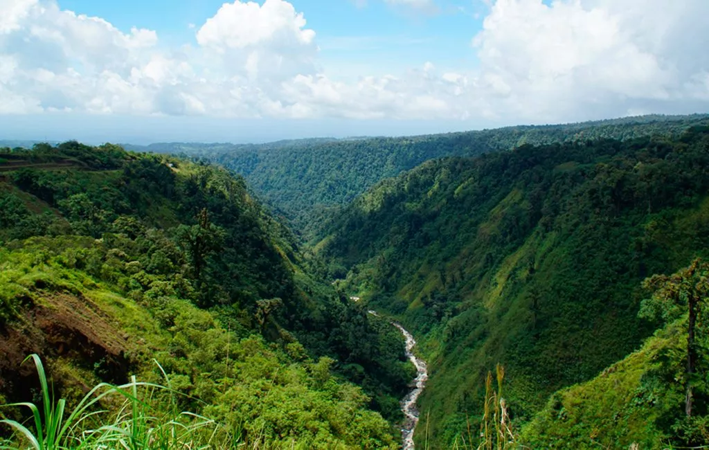 MIrador-1024x650.jpg.webp