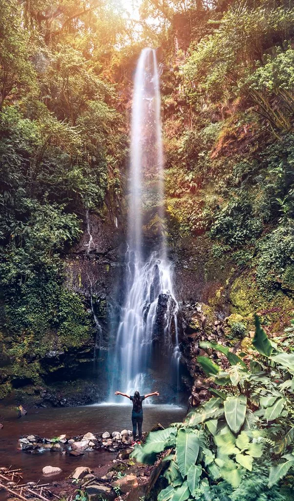 Nan-catarata-1-602x1024.jpg.webp