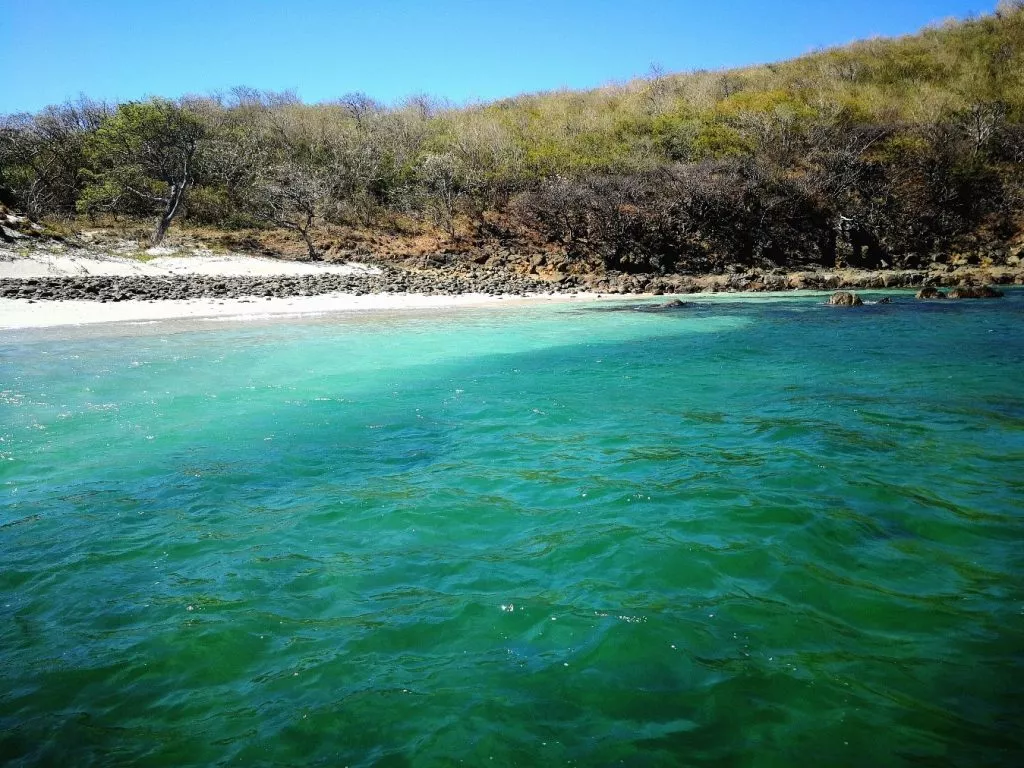 PLAYA-JICOTE-1024x768.jpg.webp