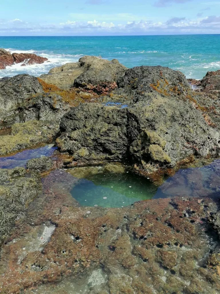Playa-Manchas-Alejandro-de-Jesus-768x1024.jpg.webp