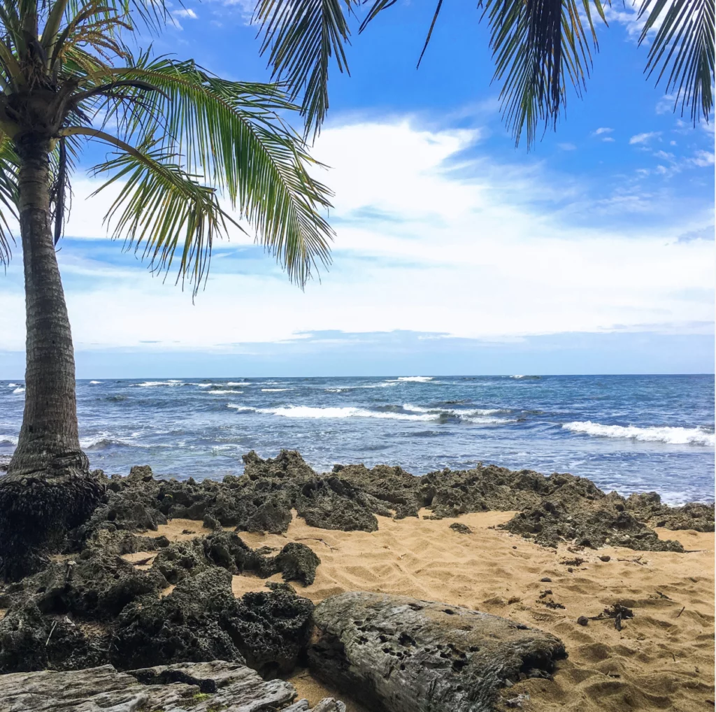 Playa-Manzanillo-1024x1018.png.webp