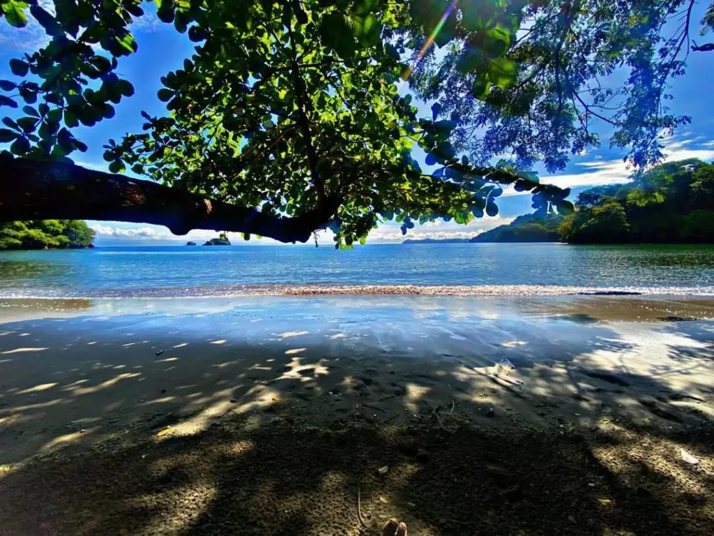 Playa-Margarita-Wen-Sanchez-1024x768.jpeg.webp