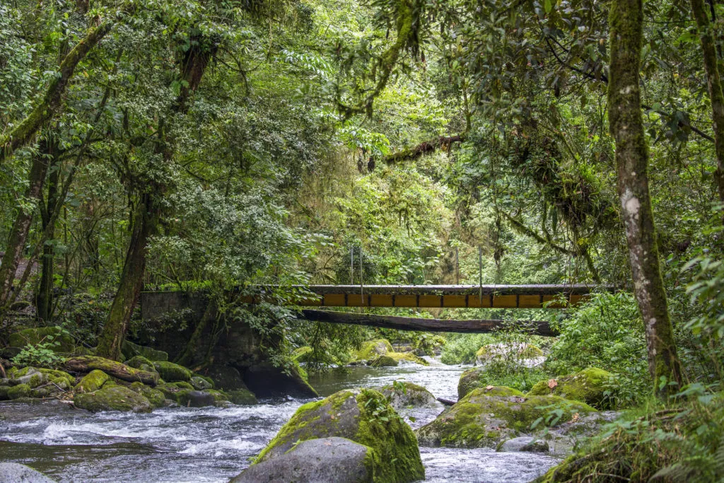 Puente-Rio-Savegre-San-Jose-1024x683.jpg.webp