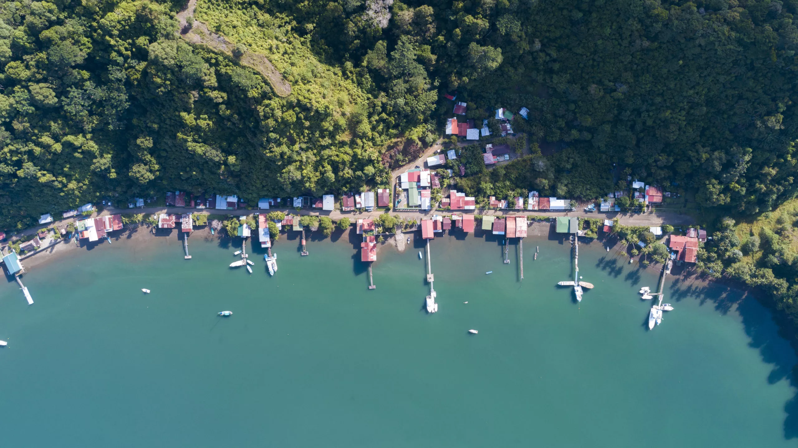 Puntarenas-Golfo-Dulce-1-scaled.jpg.webp