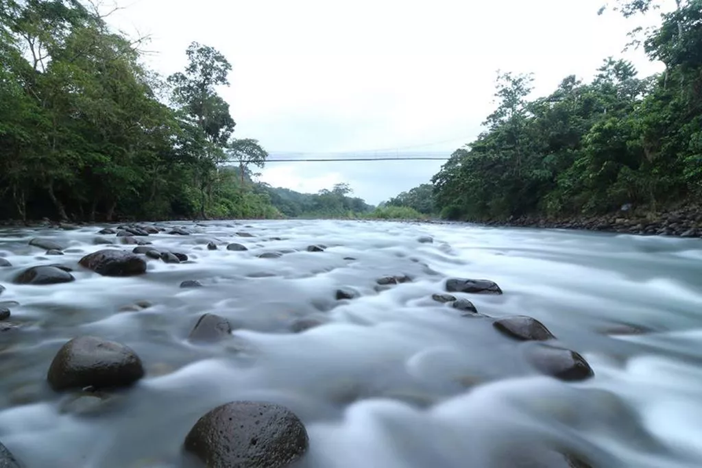 Río-Sarapiqui-1-1024x683.jpg.webp