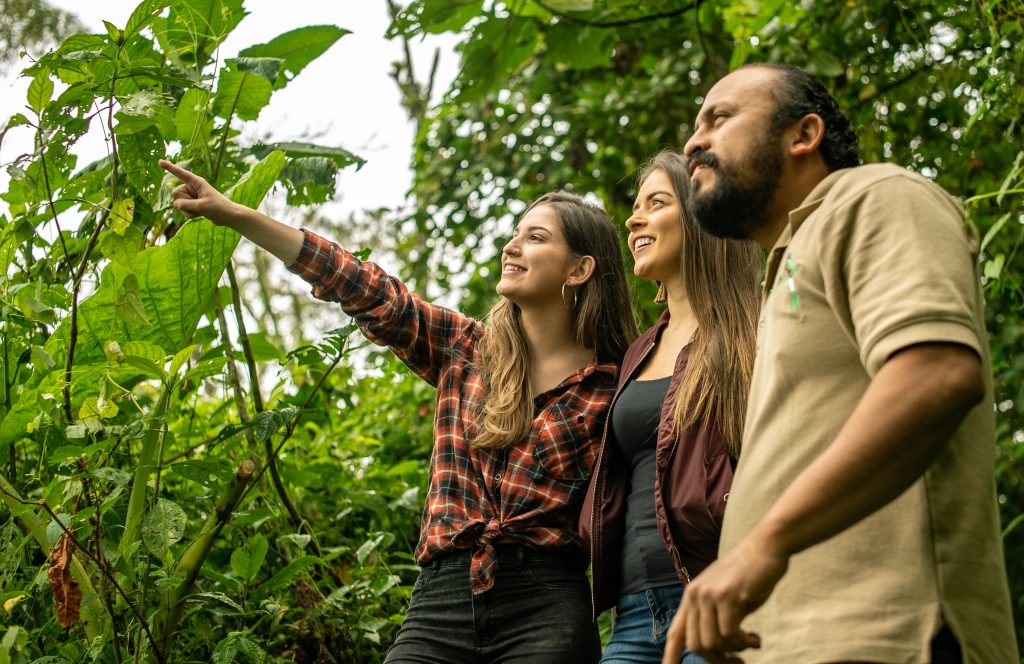 Grupo observando colibríes en Coronado