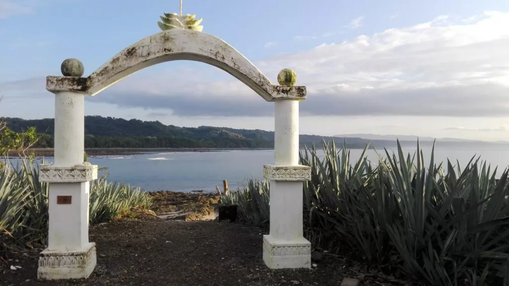 cabuya-1.jpg.webp