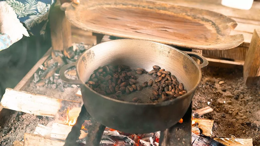 cacao-1024x576.jpg.webp