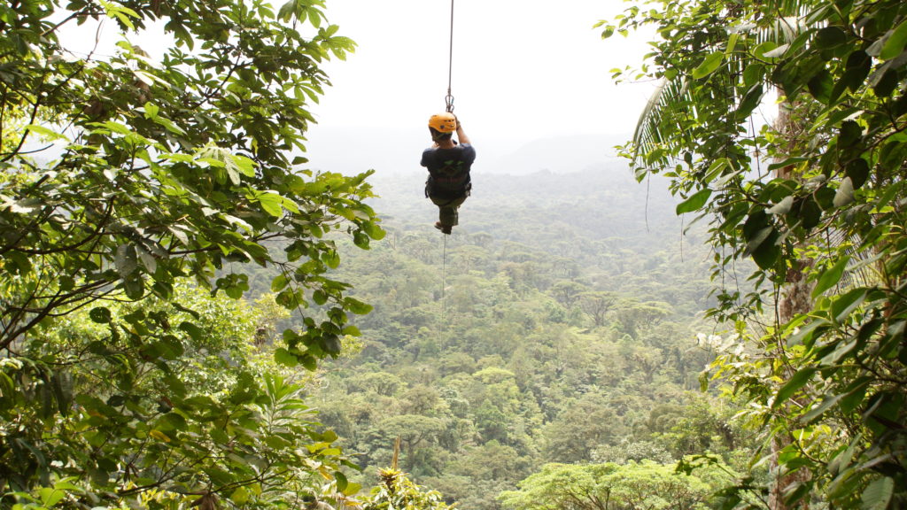 Tour de canopy en bosque tropical