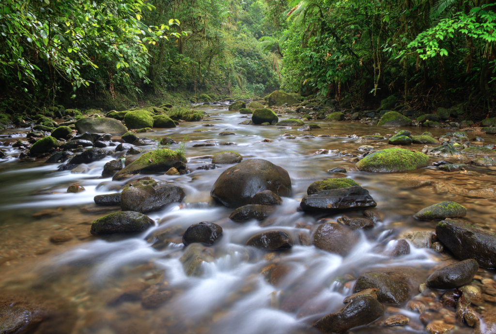 Parque Nacional Barbilla Costa Rica | Ecoturismo y Aventura en Limón