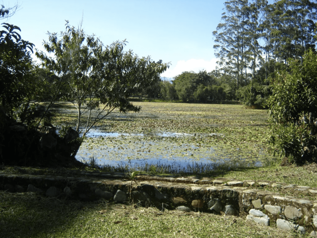 Vista panorámica del Parque Laguna Doña Anacleto con su laguna central y áreas verdes