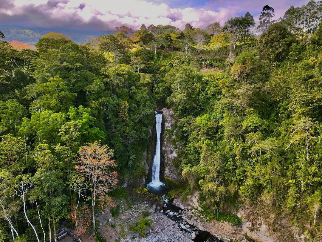 Catarata Aquiares en Turrialba, Costa Rica - Cascada de 50 metros rodeada de vegetación
