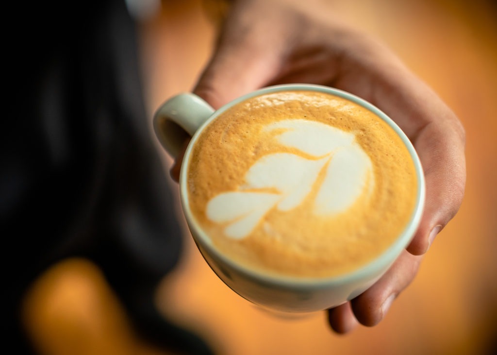 Tour de café en Coopedota Dota - proceso de catación y cultivo sostenible