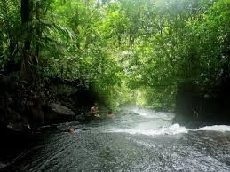 Personas relajándose en las aguas termales naturales de El Chollín, La Fortuna