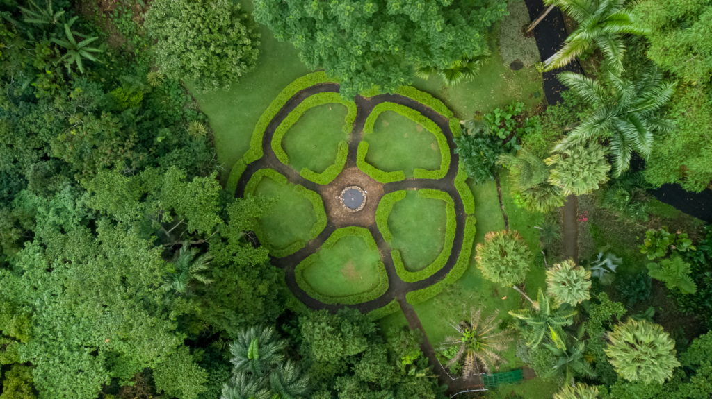 5 Lugares Imperdibles en Sarchí, Costa Rica | Guía Turística 2024