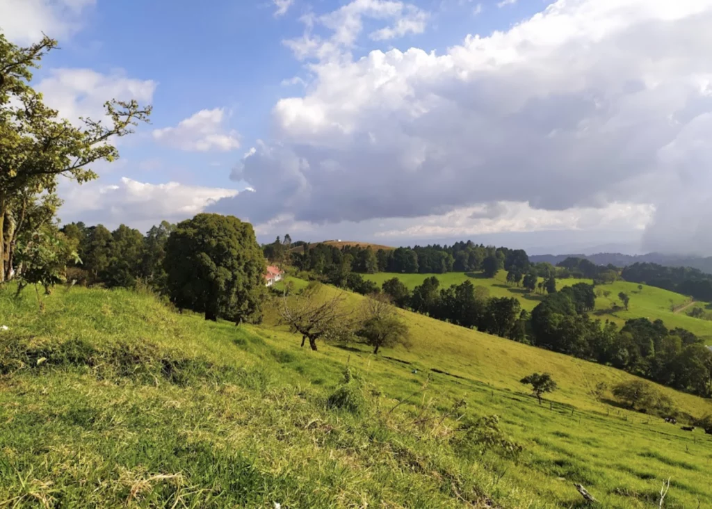image1-4-1024x732.png.webp