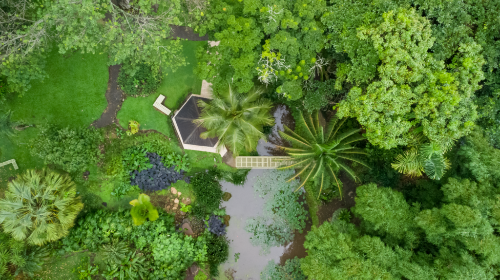 Jardín Else Kientzler en Sarchí | Experiencia Natural en Costa Rica