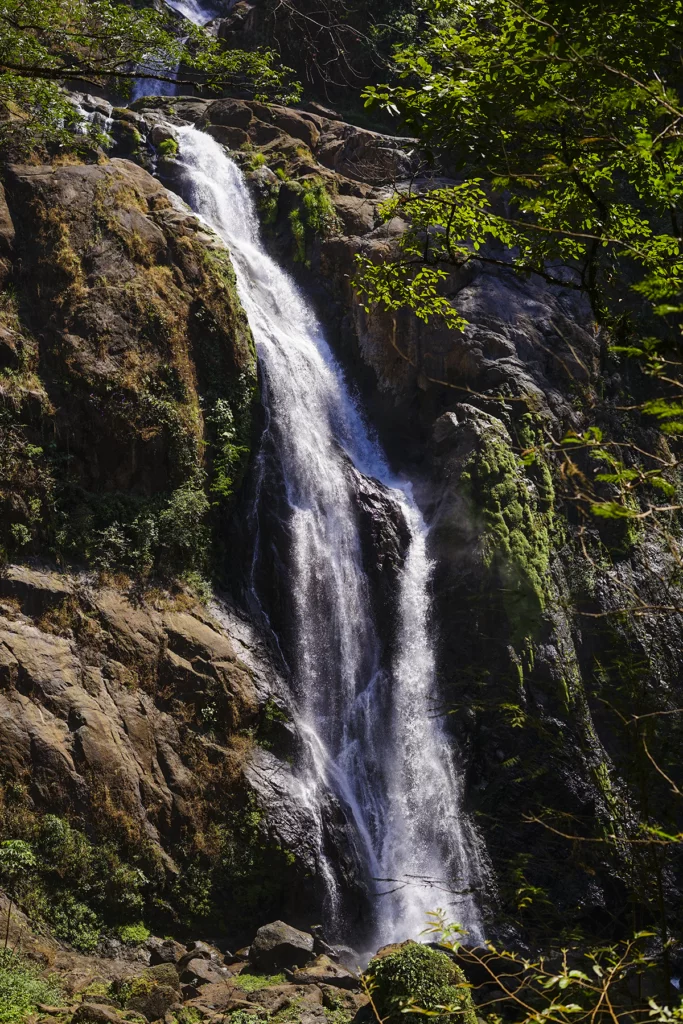 image1-683x1024.png.webp
