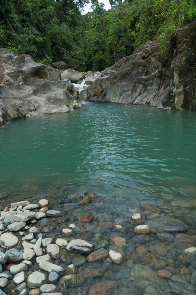 image1-683x1024.png.webp