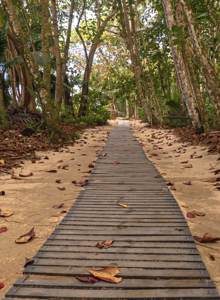 image1-750x1024.png.webp