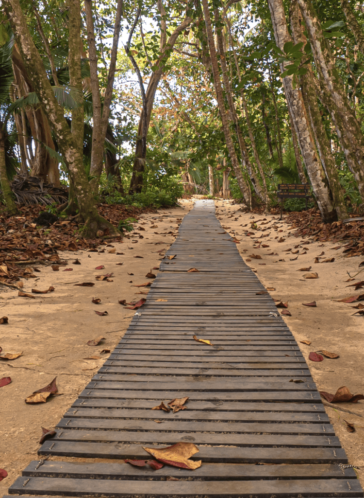 Sendero accesible en Playa Cahuita rodeado de vegetación