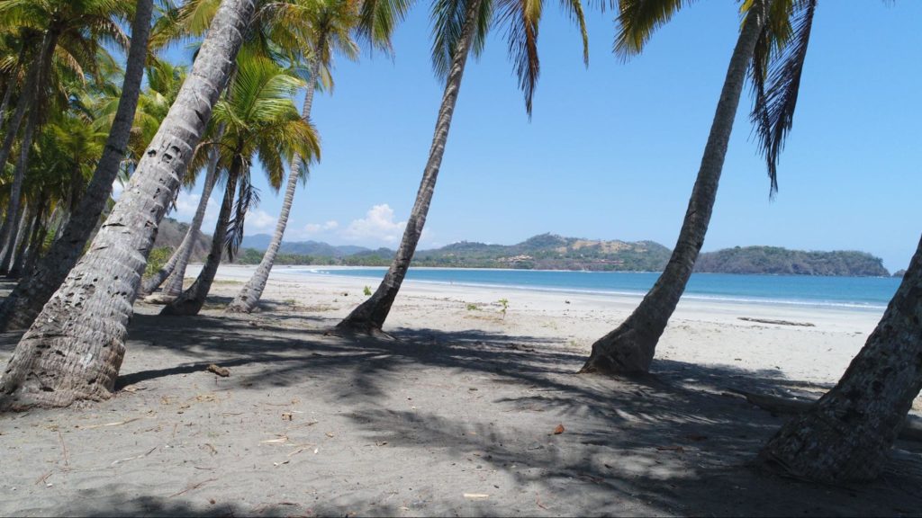 Playa Carrillo: Palmeras y arena blanca en Guanacaste