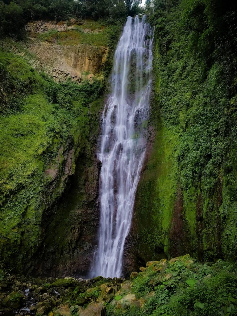 image2-1-768x1023.png.webp