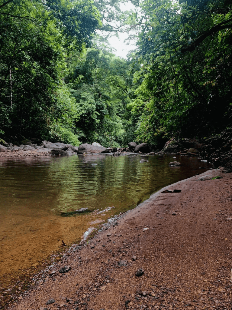 Catarata Manantial de Agua Viva: Guía Completa de la Cascada en Bijagual, Puntarenas