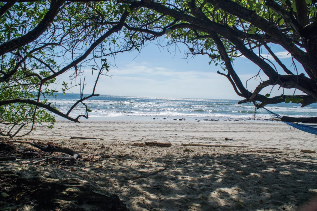 image2-6-1024x682.png.webp