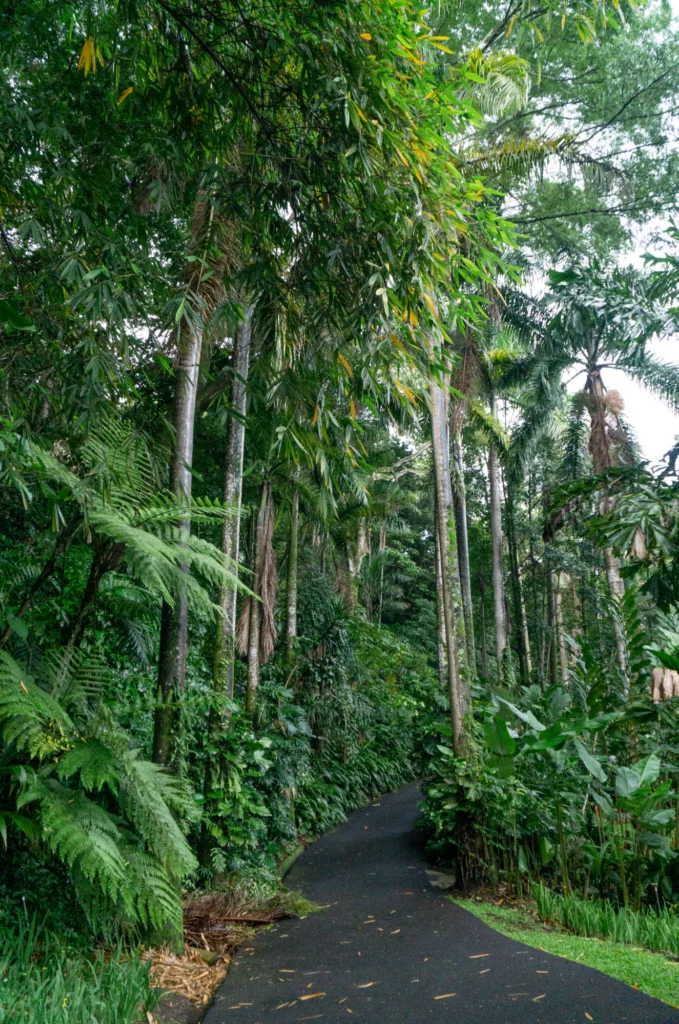 image3-5-679x1024.png.webp
