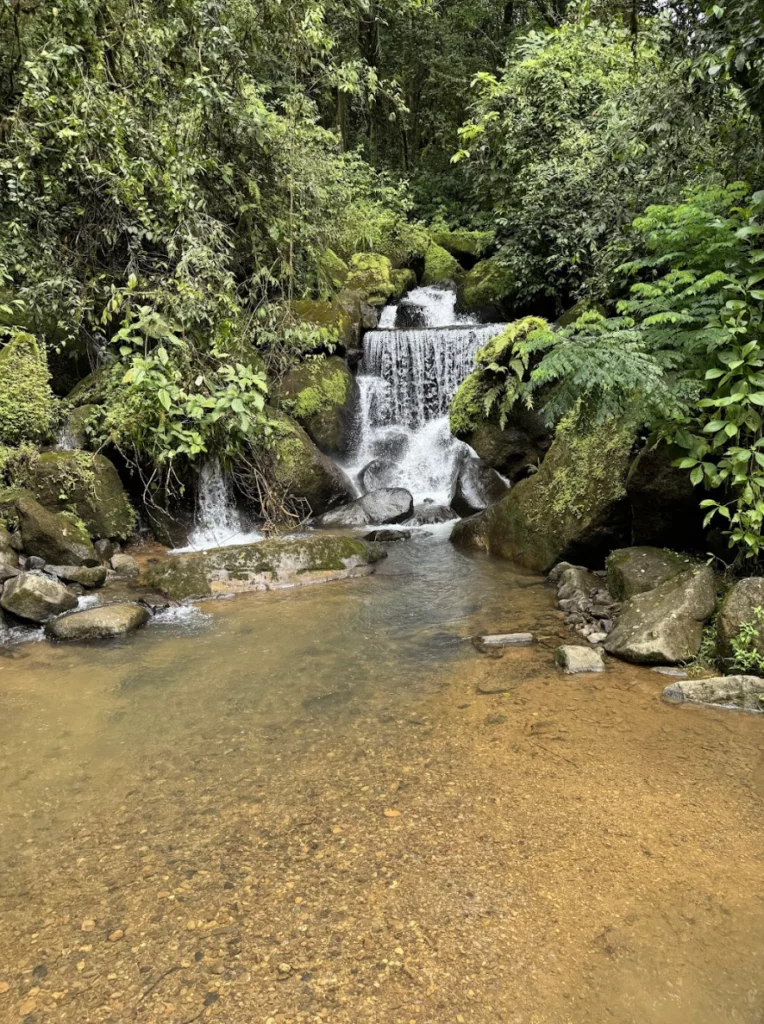 image3-5-764x1024.png.webp