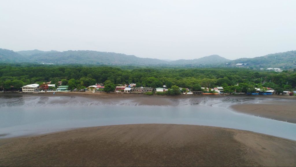 Grupo disfrutando paseo en kayak por manglares de Mata Limón